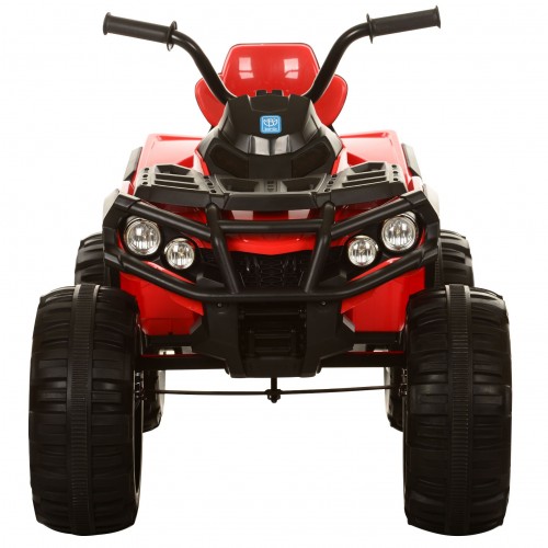 Квадроцикл M 3156EBLR-3