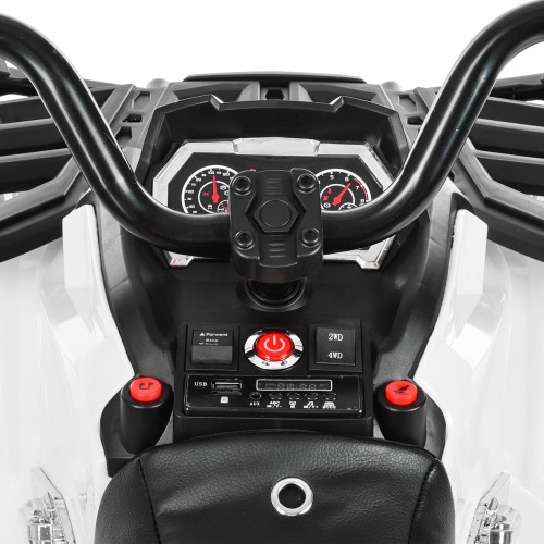 Квадроцикл M 3999EBLR-1